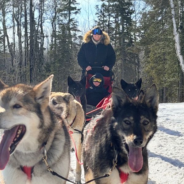 Grinning sled dogs in the snow, with a musher and passenger on the sled behind them