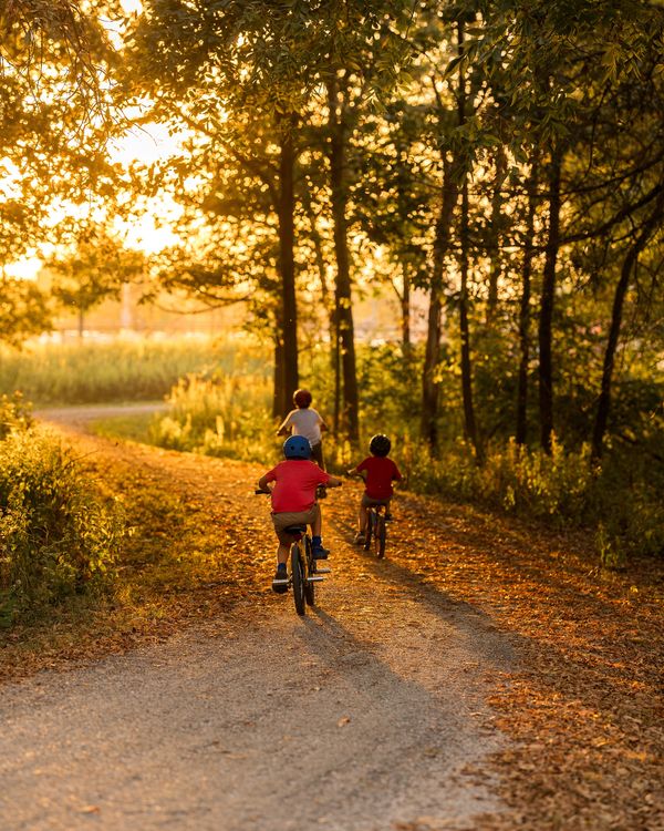 A family biking down a leafy trail in golden autumn light