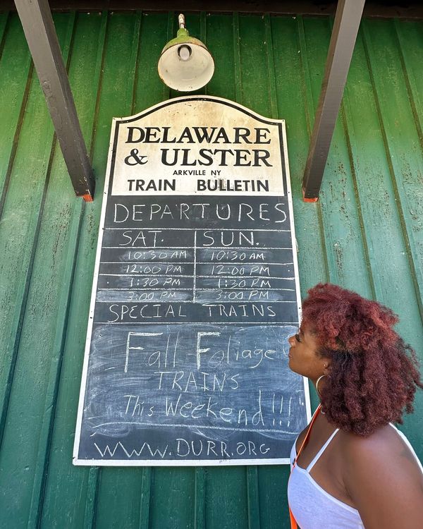 A traveler reading a chalkboard of fall foliage train departures at a railroad depot