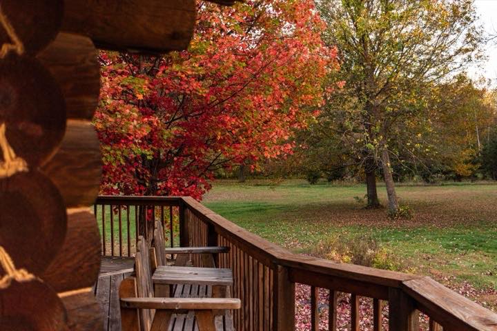 A log cabin deck with wooden chairs looking out at a red maple in fall color